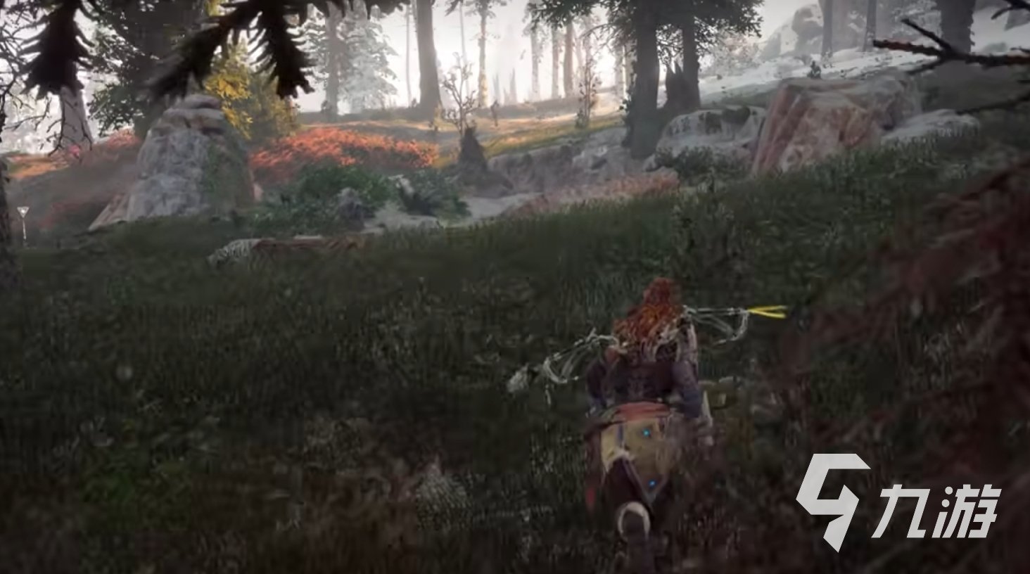 地平线：零之曙光 截图14